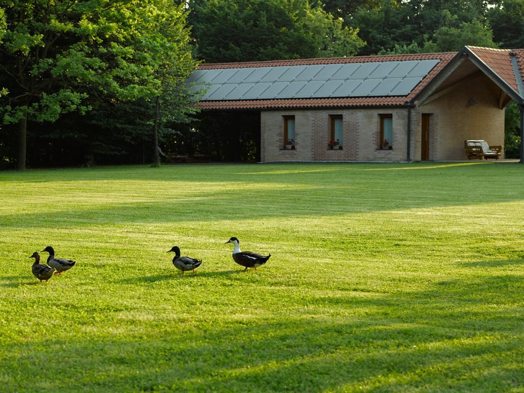 Villa Relais Agrituristico Ormesani San Liberale Exterior foto